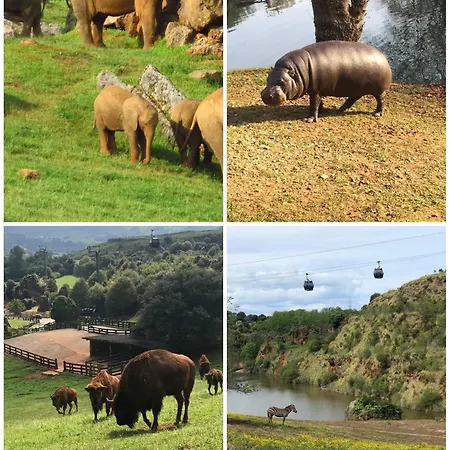 Mariquitas 3 Appartement *